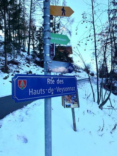 Apartamento Ski-in, Ski-out 4, Veysonnaz