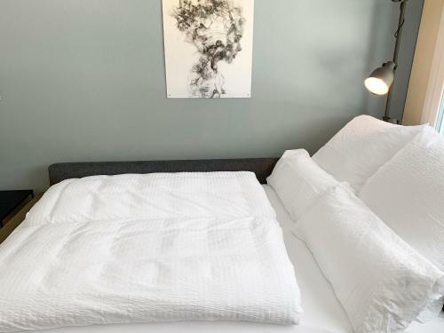 Mountain View Business Apartment, Fiber, Netflix