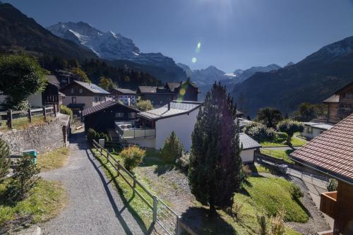 Apartamento Chalet Hannegg 2