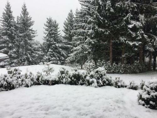 Apartm�ny Pinie Lipno