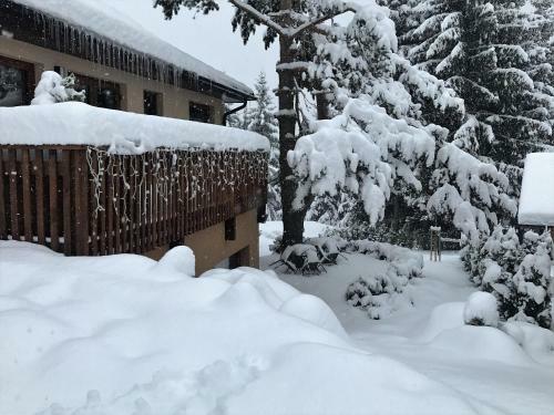Apartm�ny Pinie Lipno