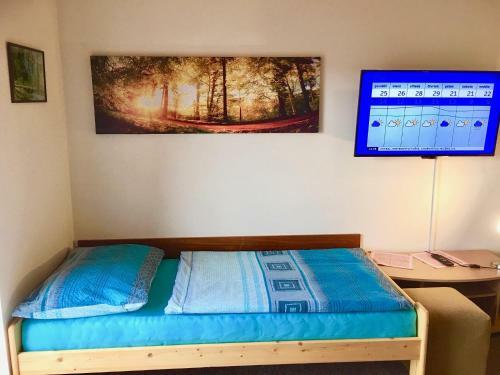 Hostal Apartments Lipno Serafin