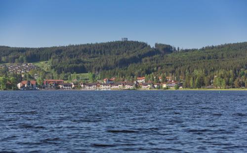 Apartm�n Rivi�ra Lipno 510/21