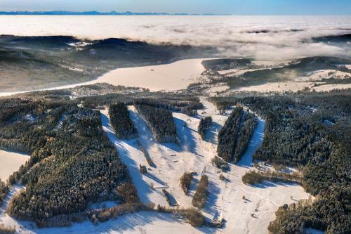 Apartamento Lipno Rivi�ra - My?i V Bot?