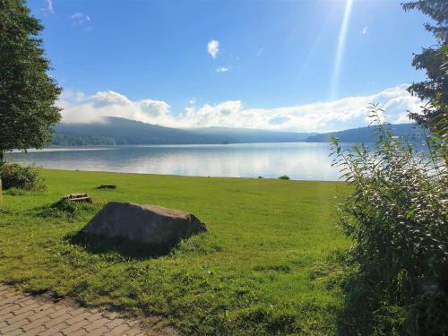 Holiday Home Residence Lipno