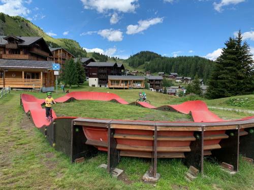 Apartment Edelweiss 34 Riederalp