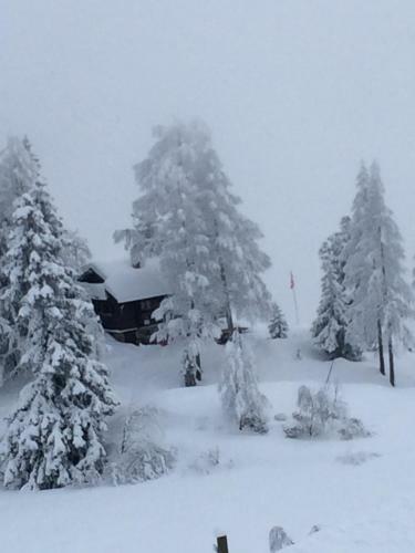 Apartamento Chalet Balfrin Riederalp
