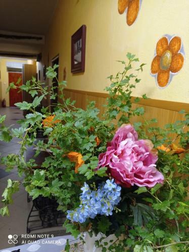 Hostal Penzion Posledn� M�le