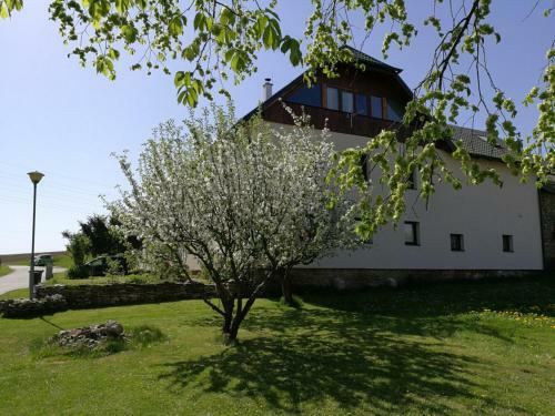 Agroturismo Statek "two Brooms", Apartment