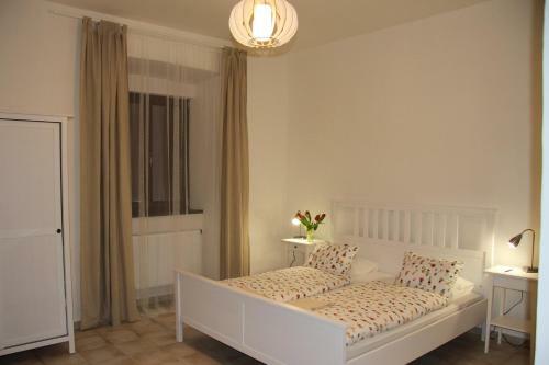 Hostal Dv?r Nov� Z�mky