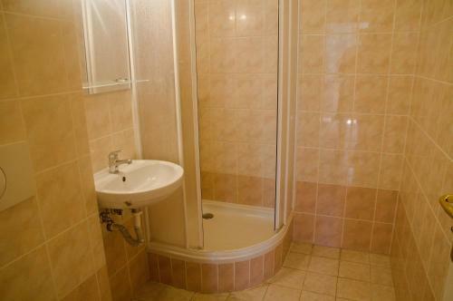 Hostal Penzion St?�brn� Lhota