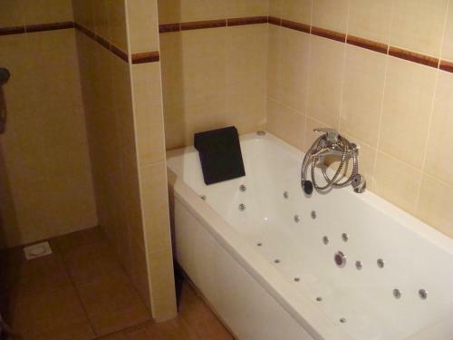 Apartamento U Vodn�ka
