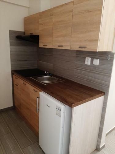 Apartm�ny Havl�?kova