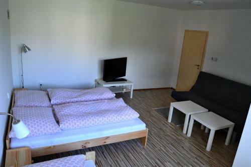 Apartamento Ubytovan� Ve Dvo?e Ii.