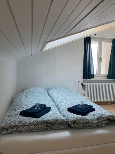 Apartamento Charmante Dachwohnung Mit Matterhornblick