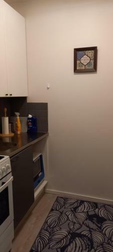 Apartamento Vieskanhovi