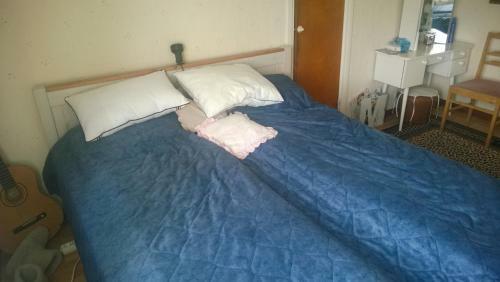 Firelake Guest House And Camping