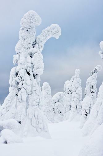 Lapland Villa