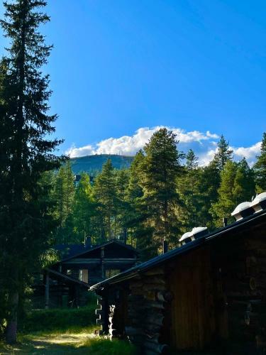 Lapland Tunturimaja Ski In With Sauna- Pyh� Center