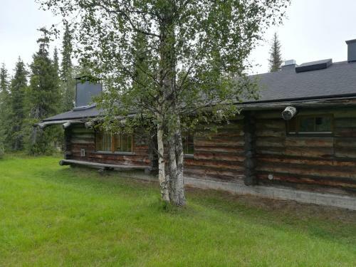 Apartamento Kelo Seasons Winter