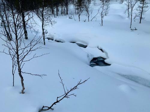 Saarisel�ll�, Sielukas Hirsim�kki - Unique Cottage