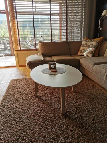 Apartamentos Tahko Spa Suite B3