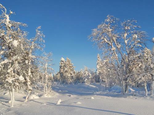 Apartamento Saarisel�n Kuksa