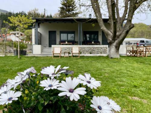 Apartamento Bocca Al Lupo Villas