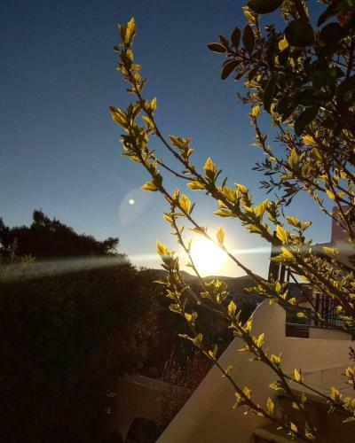 Apartamento Sounio Golden View Villas
