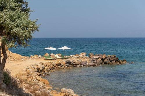 Villa Ktima Sfakia