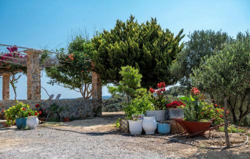 Villa Ktima Sfakia