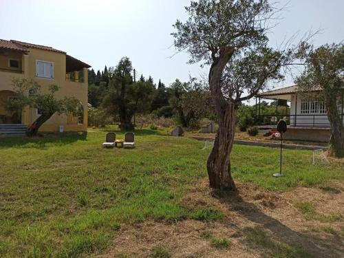 Apartamento Summer Desire - Studio With Sea View