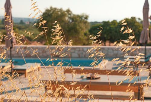 Private, Quiet, Isolated Villa In Chania / Homealone