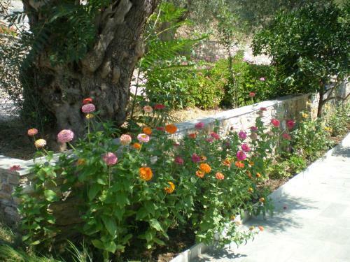 Apartamento Lefkothea Studios