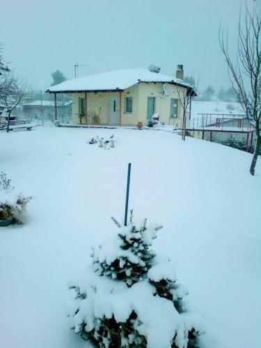 Villa With Big Garden