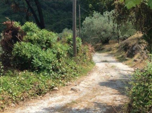 Holiday Home Dionysis