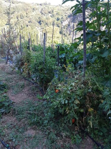 Holiday Home Dionysis