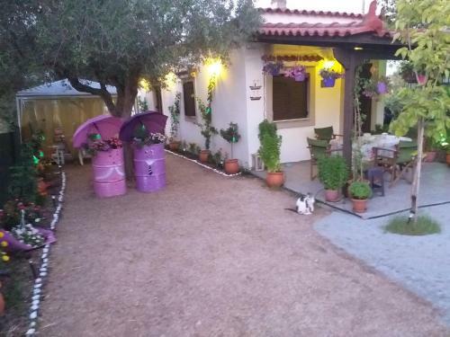 Hostal Killini Cottage Studio The Small Cyclades