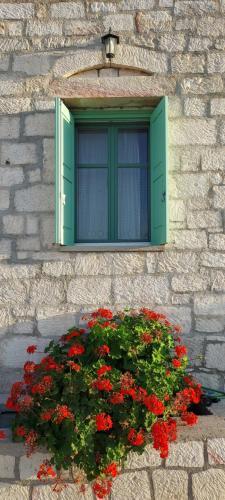 Apartamento Argento