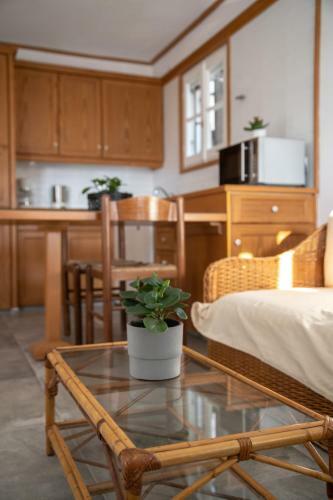 Hotel Lotos Beach Home