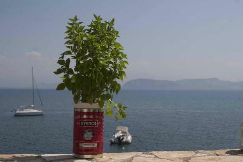 Kiveri 1876 Traditional Seafront Cottage
