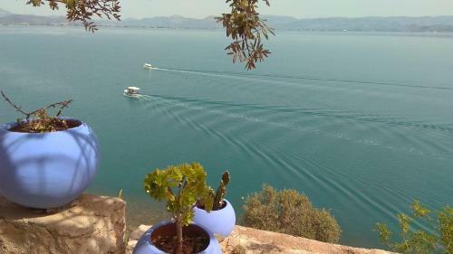 Apartamento Linamare