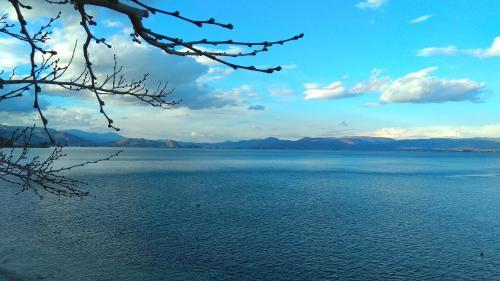 Apartamento Linamare