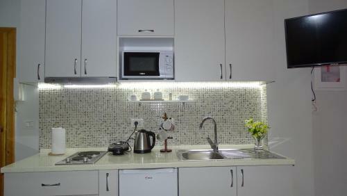 Apartment Shoshi