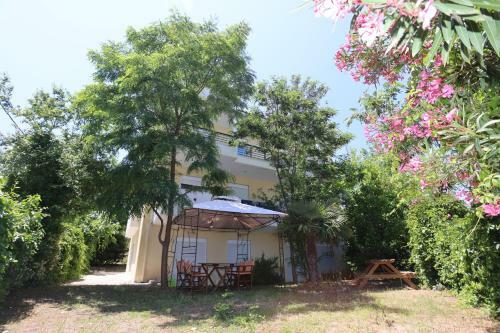 Amadeo Apartments