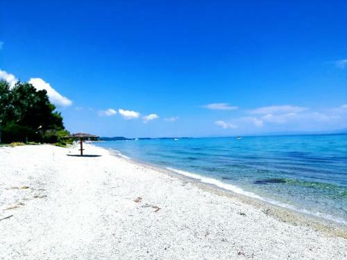 Seaside View Villa