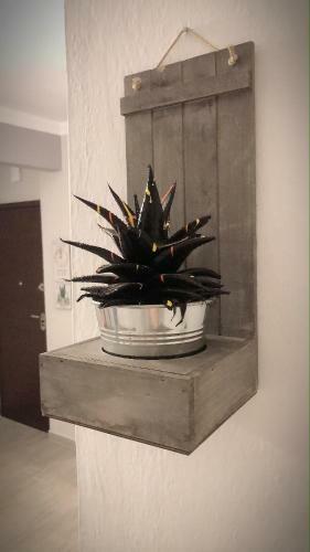 The Green Apartment