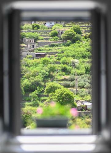 Apartamento Mespilus House Koronos