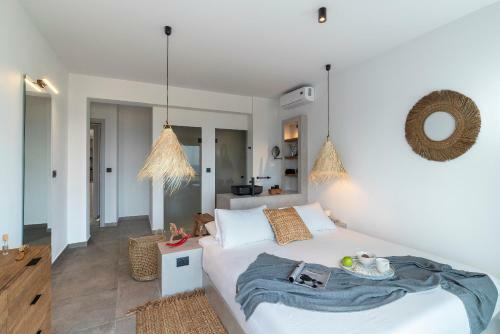 Luxury Nissovilla With Private Pool & Sea Views
