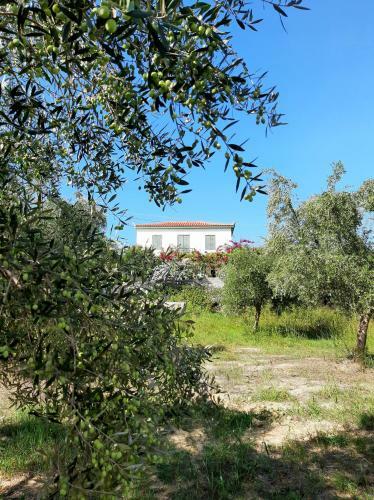 The Olive Yard House In Koroni